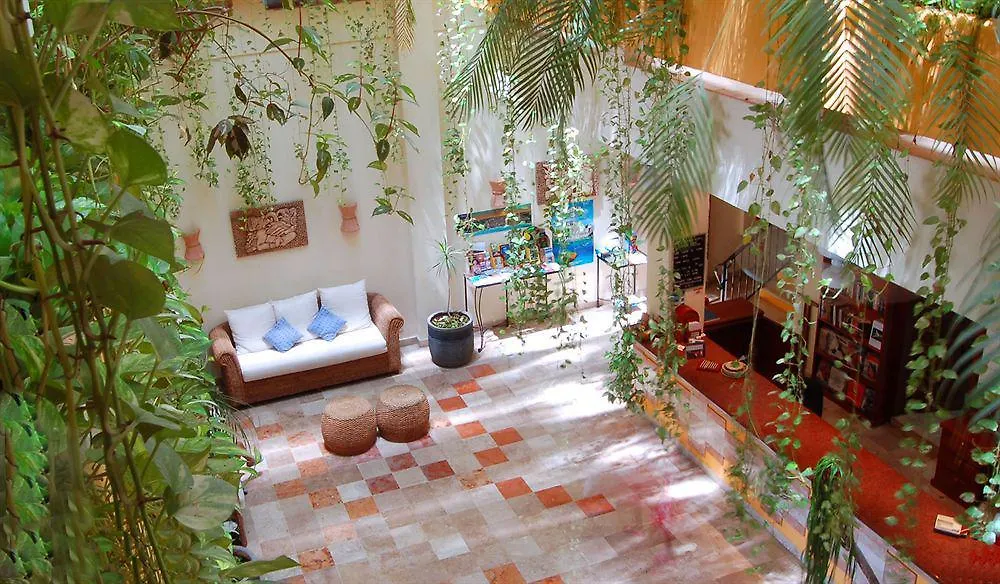 Hotel Los Itzaes By 5Th Av Πλάγια Ντελ Κάρμεν 3*,  Μεξικό